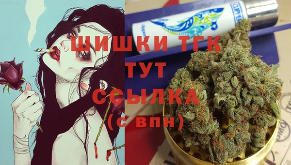СК Алексин