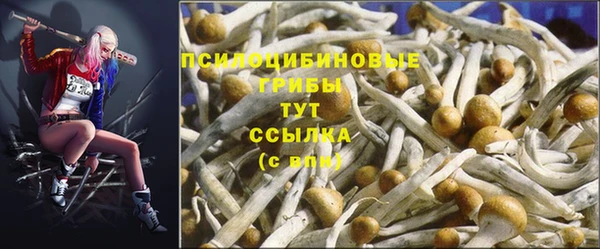 прущая мука Абинск