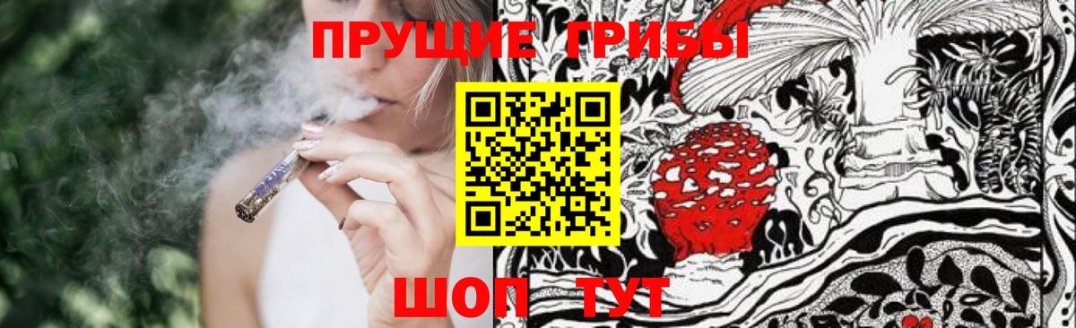 Галлюциногенные грибы Magic Shrooms  Вход с VPN  Новотроицк 